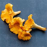 Bohaterka sezonu Pani Kurka